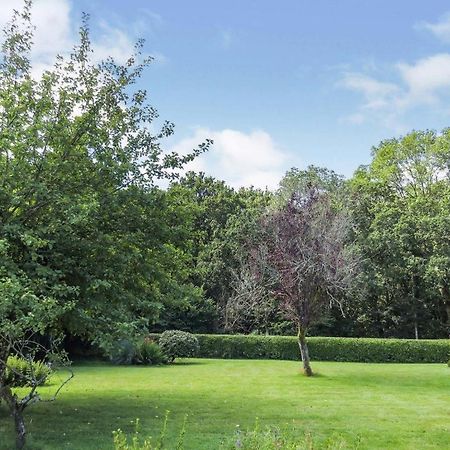 Woodland House B & B Wimborne Minster Eksteriør billede