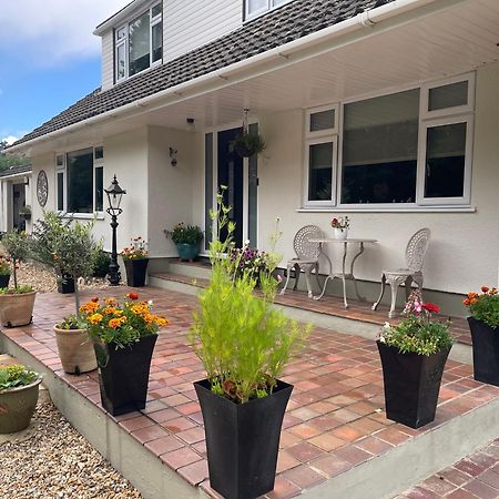 Woodland House B & B Wimborne Minster Eksteriør billede