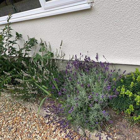 Woodland House B & B Wimborne Minster Eksteriør billede