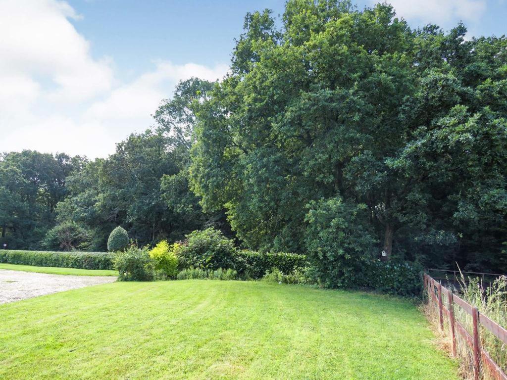Woodland House B & B Wimborne Minster Eksteriør billede