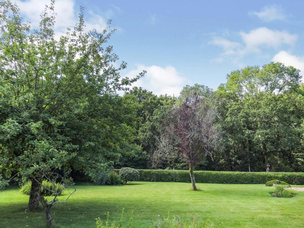 Woodland House B & B Wimborne Minster Eksteriør billede