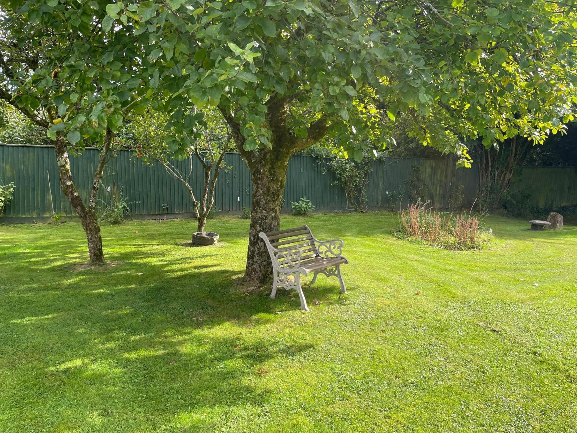 Woodland House B & B Wimborne Minster Eksteriør billede